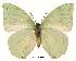  ( - BC-EV0134)  @14 [ ] Unspecified (default): All Rights Reserved  Unspecified Unspecified