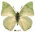 ( - BC-EV0135)  @14 [ ] Unspecified (default): All Rights Reserved  Unspecified Unspecified