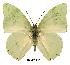  ( - BC-EV0151)  @13 [ ] Unspecified (default): All Rights Reserved  Unspecified Unspecified