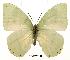 ( - BC-EV0152)  @14 [ ] Unspecified (default): All Rights Reserved  Unspecified Unspecified