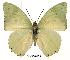  ( - BC-EV0153)  @14 [ ] Unspecified (default): All Rights Reserved  Unspecified Unspecified
