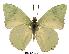  ( - BC-EV0154)  @14 [ ] Unspecified (default): All Rights Reserved  Unspecified Unspecified