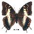  ( - BC-EV0157)  @14 [ ] Unspecified (default): All Rights Reserved  Unspecified Unspecified