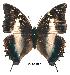  ( - BC-EV0159)  @14 [ ] Unspecified (default): All Rights Reserved  Unspecified Unspecified