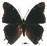  ( - BC-EV0166)  @13 [ ] Unspecified (default): All Rights Reserved  Unspecified Unspecified