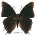  ( - BC-EV0168)  @13 [ ] Unspecified (default): All Rights Reserved  Unspecified Unspecified