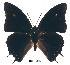  ( - BC-EV0174)  @14 [ ] Unspecified (default): All Rights Reserved  Unspecified Unspecified
