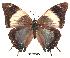  ( - BC-EV0176)  @13 [ ] Unspecified (default): All Rights Reserved  Unspecified Unspecified