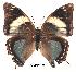  ( - BC-EV0177)  @13 [ ] Unspecified (default): All Rights Reserved  Unspecified Unspecified