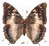  ( - BC-EV0178)  @13 [ ] Unspecified (default): All Rights Reserved  Unspecified Unspecified