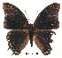  ( - BC-EV0180)  @13 [ ] Unspecified (default): All Rights Reserved  Unspecified Unspecified