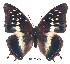  ( - BC-EV0206)  @14 [ ] Unspecified (default): All Rights Reserved  Unspecified Unspecified