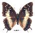  ( - BC-EV0212)  @14 [ ] Unspecified (default): All Rights Reserved  Unspecified Unspecified