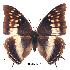  ( - BC-EV0213)  @14 [ ] Unspecified (default): All Rights Reserved  Unspecified Unspecified