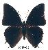  ( - BC-EV0215)  @13 [ ] Unspecified (default): All Rights Reserved  Unspecified Unspecified
