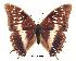  ( - BC-EV0218)  @13 [ ] Unspecified (default): All Rights Reserved  Unspecified Unspecified