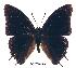  ( - BC-EV0219)  @13 [ ] Unspecified (default): All Rights Reserved  Unspecified Unspecified