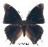  ( - BC-EV0227)  @14 [ ] Unspecified (default): All Rights Reserved  Unspecified Unspecified