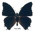  ( - BC-EV0234)  @13 [ ] Unspecified (default): All Rights Reserved  Unspecified Unspecified