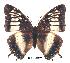  ( - BC-EV0249)  @14 [ ] Unspecified (default): All Rights Reserved  Unspecified Unspecified