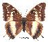  ( - BC-EV0256)  @14 [ ] Unspecified (default): All Rights Reserved  Unspecified Unspecified