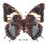  ( - BC-EV0261)  @13 [ ] Unspecified (default): All Rights Reserved  Unspecified Unspecified