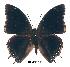  ( - BC-EV0272)  @14 [ ] Unspecified (default): All Rights Reserved  Unspecified Unspecified