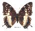  ( - BC-EV0274)  @14 [ ] Unspecified (default): All Rights Reserved  Unspecified Unspecified