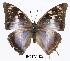  ( - BC-EV0286)  @13 [ ] Unspecified (default): All Rights Reserved  Unspecified Unspecified
