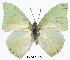  ( - BC-EV0290)  @14 [ ] Unspecified (default): All Rights Reserved  Unspecified Unspecified