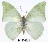  ( - BC-EV0292)  @14 [ ] Unspecified (default): All Rights Reserved  Unspecified Unspecified