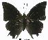  ( - BC-EV0293)  @13 [ ] Unspecified (default): All Rights Reserved  Unspecified Unspecified
