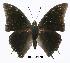  ( - BC-EV0300)  @13 [ ] Unspecified (default): All Rights Reserved  Unspecified Unspecified