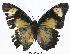  ( - BC-EV0310)  @13 [ ] Unspecified (default): All Rights Reserved  Unspecified Unspecified