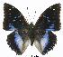  ( - BC-EV0313)  @14 [ ] Unspecified (default): All Rights Reserved  Unspecified Unspecified