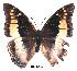  ( - BC-EV0316)  @13 [ ] Unspecified (default): All Rights Reserved  Unspecified Unspecified