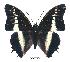  ( - BC-EV0319)  @14 [ ] Unspecified (default): All Rights Reserved  Unspecified Unspecified