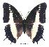  ( - BC-EV0320)  @14 [ ] Unspecified (default): All Rights Reserved  Unspecified Unspecified