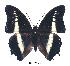  ( - BC-EV0321)  @14 [ ] Unspecified (default): All Rights Reserved  Unspecified Unspecified