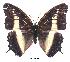  ( - BC-EV0322)  @13 [ ] Unspecified (default): All Rights Reserved  Unspecified Unspecified