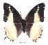  ( - BC-EV0324)  @13 [ ] Unspecified (default): All Rights Reserved  Unspecified Unspecified