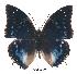  ( - BC-EV0325)  @14 [ ] Unspecified (default): All Rights Reserved  Unspecified Unspecified