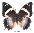  ( - BC-EV0326)  @13 [ ] Unspecified (default): All Rights Reserved  Unspecified Unspecified