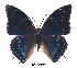  ( - BC-EV0327)  @14 [ ] Unspecified (default): All Rights Reserved  Unspecified Unspecified