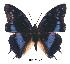  ( - BC-EV0337)  @13 [ ] Unspecified (default): All Rights Reserved  Unspecified Unspecified
