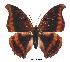  ( - BC-EV0368)  @13 [ ] Unspecified (default): All Rights Reserved  Unspecified Unspecified