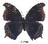  ( - BC-EV0378)  @13 [ ] Unspecified (default): All Rights Reserved  Unspecified Unspecified