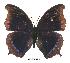  ( - BC-EV0379)  @14 [ ] Unspecified (default): All Rights Reserved  Unspecified Unspecified