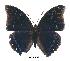  ( - BC-EV0381)  @13 [ ] Unspecified (default): All Rights Reserved  Unspecified Unspecified