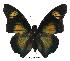  ( - BC-EV0387)  @14 [ ] Unspecified (default): All Rights Reserved  Unspecified Unspecified